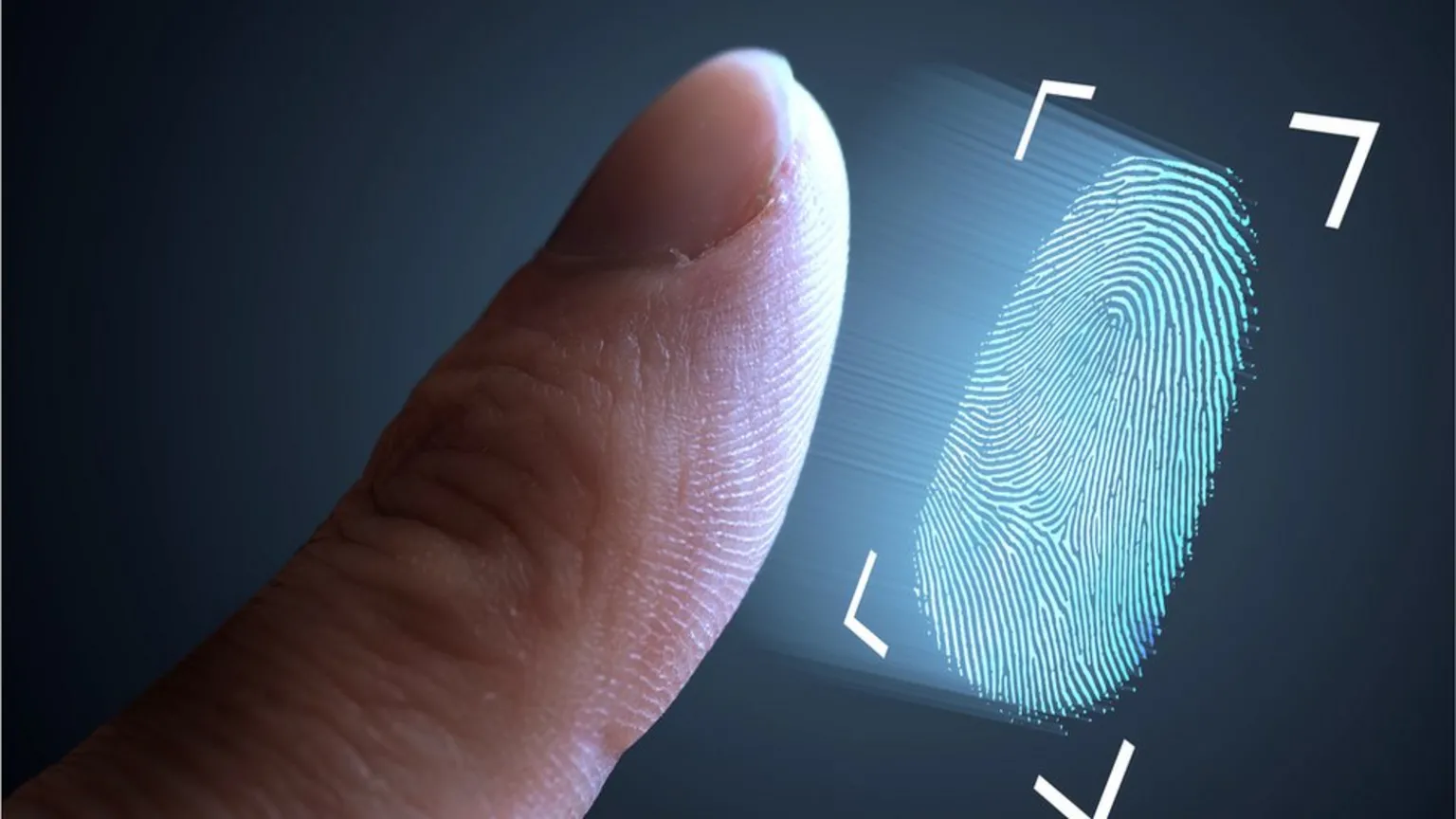 Fingerprinting